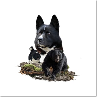 Karelian Bear Dog Posters and Art